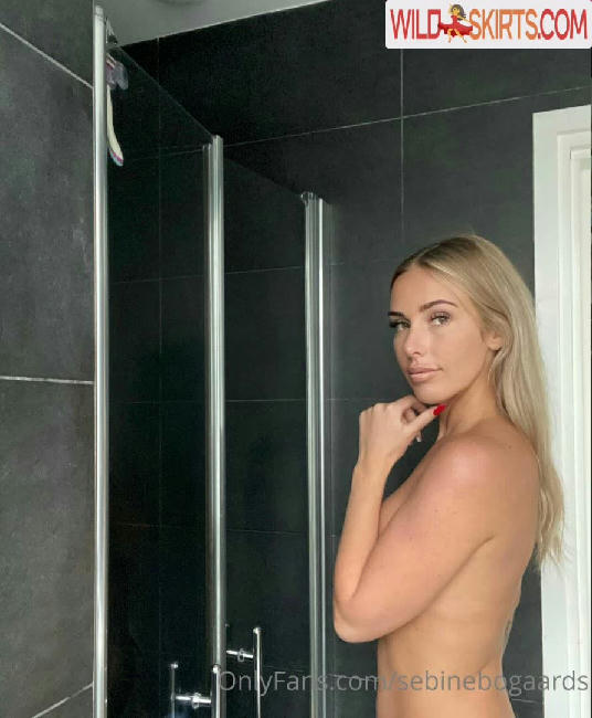 Sebine Bogaards / sebinebogaards nude OnlyFans, Instagram leaked photo #9