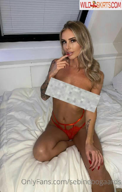 Sebine Bogaards / sebinebogaards nude OnlyFans, Instagram leaked photo #40