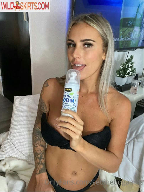 Sebine Bogaards / sebinebogaards nude OnlyFans, Instagram leaked photo #59