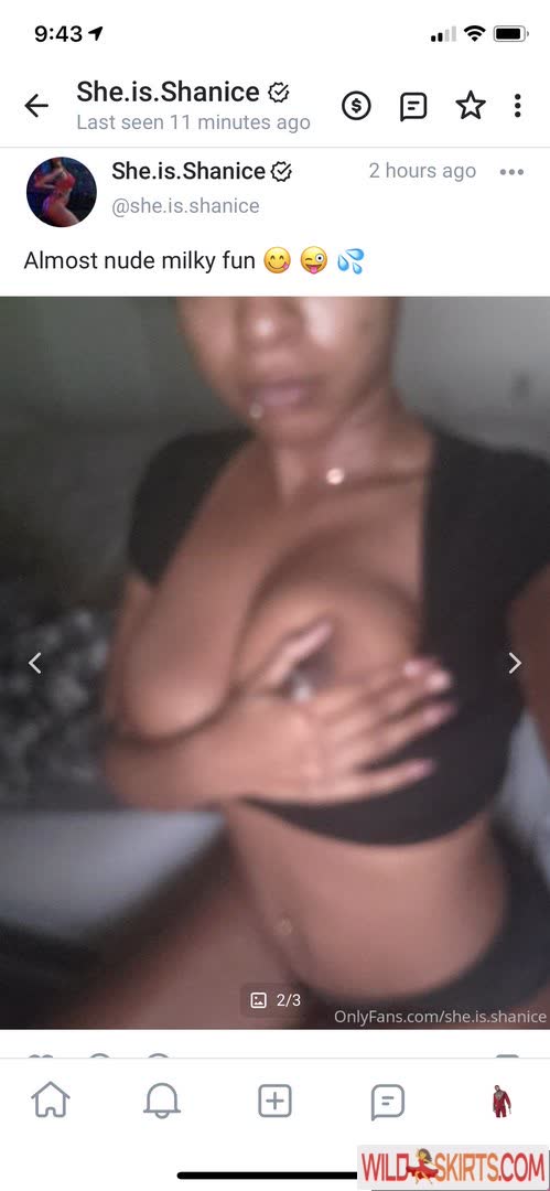 Shanice Granison nude leaked photo #4