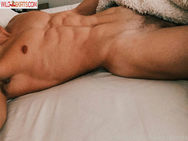 shawnnnbrooks / _shawnbrooks__ / shawnnnbrooks nude OnlyFans, Instagram leaked photo #3