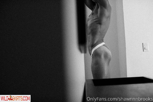 shawnnnbrooks / _shawnbrooks__ / shawnnnbrooks nude OnlyFans, Instagram leaked photo #13