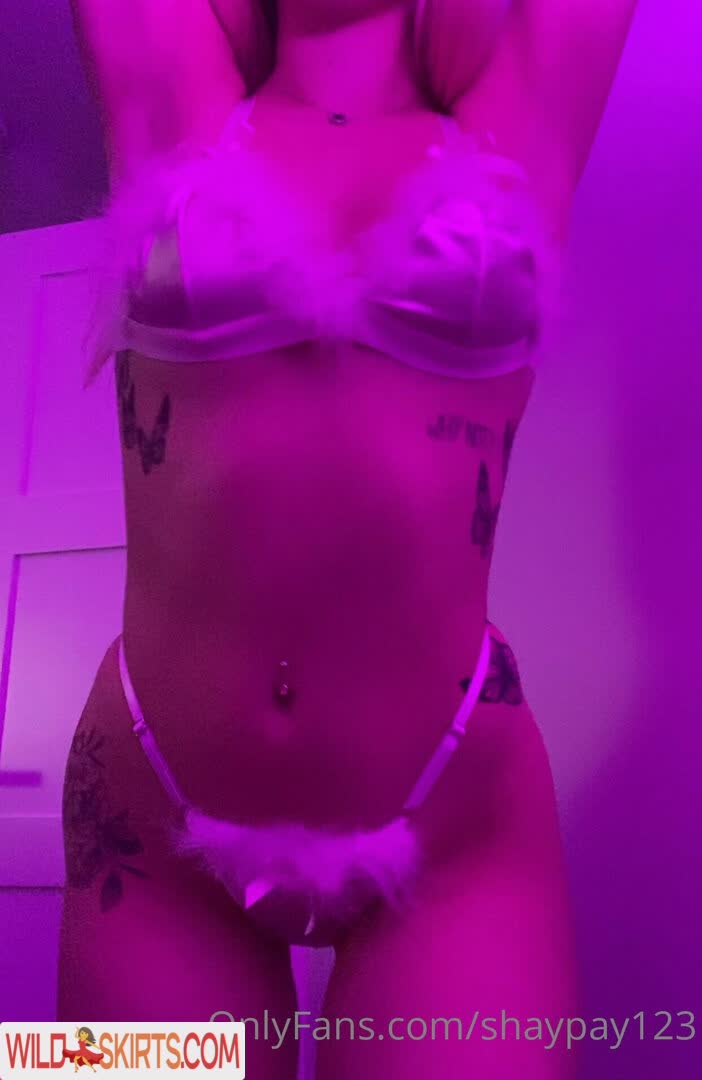 shaypay123 nude OnlyFans leaked photo #5
