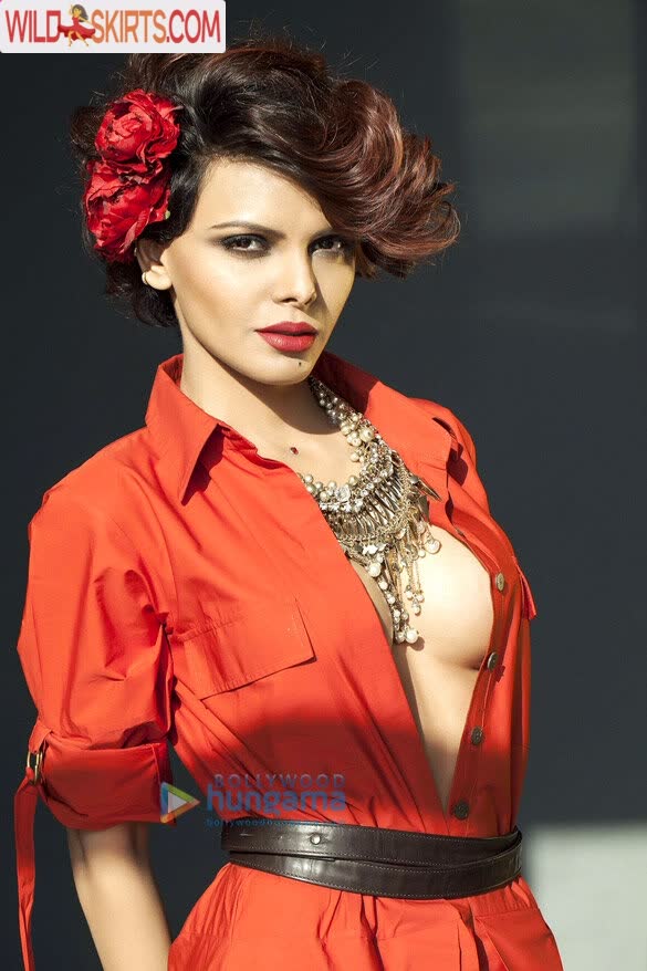 Sherlyn Chopra / SherlynChopra / _sherlynchopra_ / officialsherlynchopra nude OnlyFans, Instagram leaked photo #11