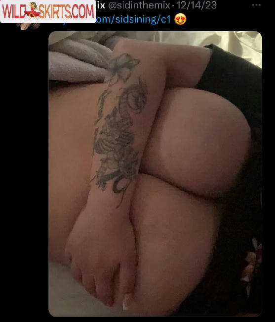 Sidinthemix / Sidsining / sidinthemix nude OnlyFans, Instagram leaked photo #5