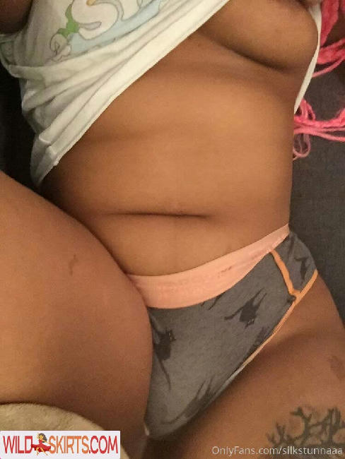 silkstunnaaa nude OnlyFans, Instagram leaked photo #11