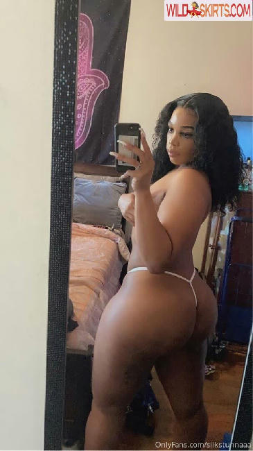 silkstunnaaa nude OnlyFans, Instagram leaked photo #19