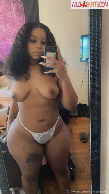 silkstunnaaa nude OnlyFans, Instagram leaked photo #20