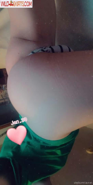 skyburrito / skyburrito / skyburritox nude OnlyFans, Instagram leaked photo #12