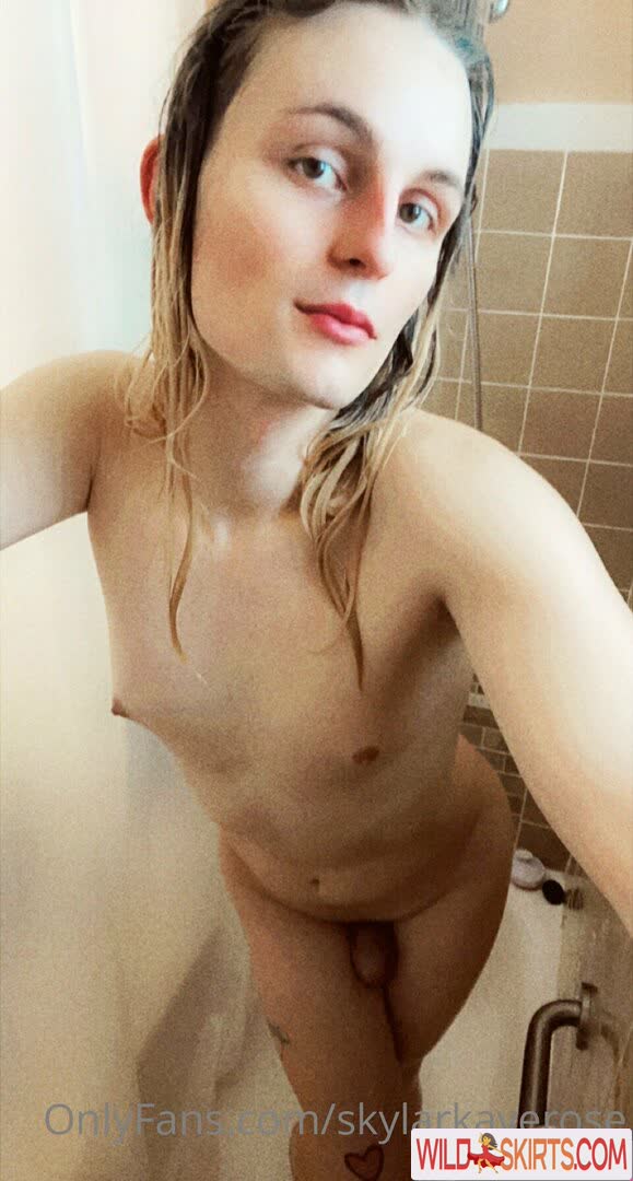 Skylarkayerose nude leaked photo #8