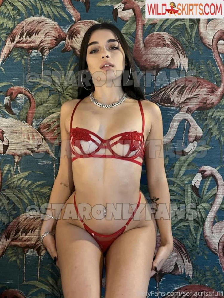 Sofia Crisafulli / Sofiacrisafulli / sofiacrisafullii nude OnlyFans, Instagram leaked photo #23