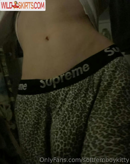 softfemboykitty / myfriendsmademebuyit / softfemboykitty nude OnlyFans, Instagram leaked photo #24