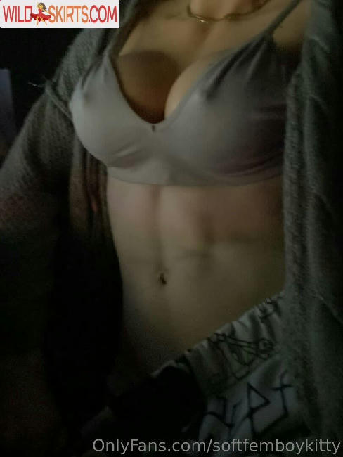 softfemboykitty / myfriendsmademebuyit / softfemboykitty nude OnlyFans, Instagram leaked photo #81