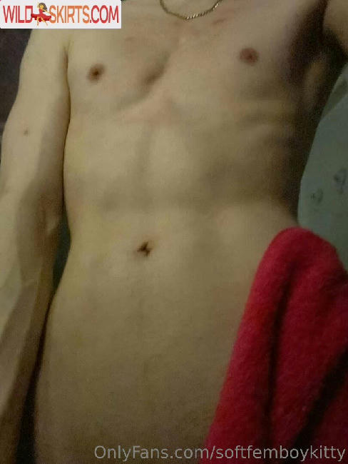 softfemboykitty / myfriendsmademebuyit / softfemboykitty nude OnlyFans, Instagram leaked photo #96