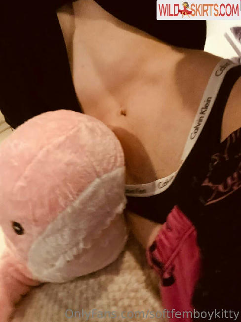 softfemboykitty / myfriendsmademebuyit / softfemboykitty nude OnlyFans, Instagram leaked photo #100