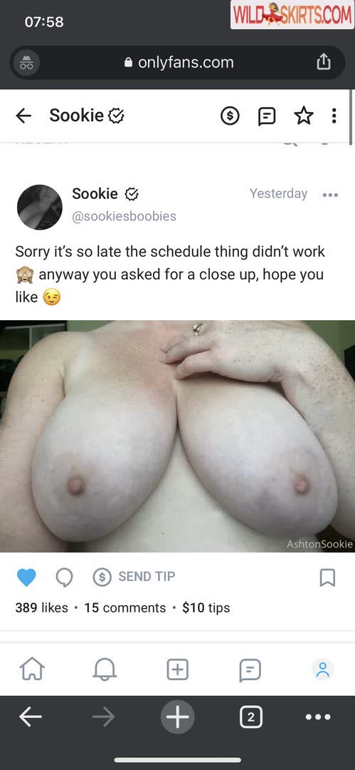 SookieCookiie / sookiecookiie / sookiesboobies nude OnlyFans, Instagram leaked photo #4