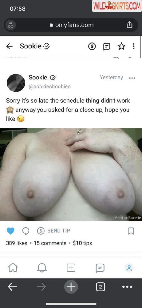 SookieCookiie / sookiecookiie / sookiesboobies nude OnlyFans, Instagram leaked photo #30