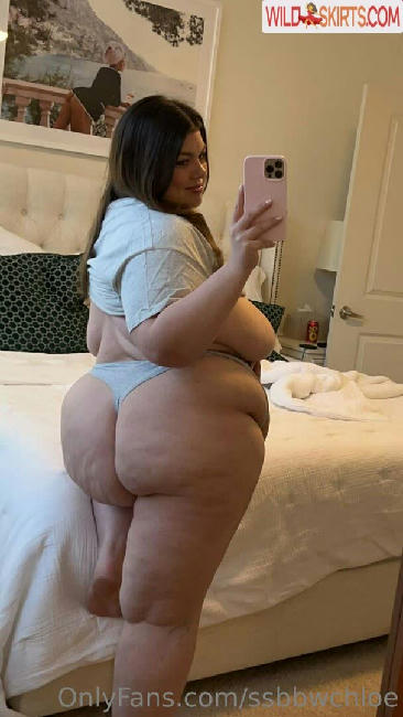 ssbbwchloe / bbwchloe_ / ssbbwchloe nude OnlyFans, Instagram leaked photo #161