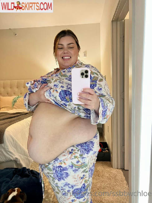 ssbbwchloe / bbwchloe_ / ssbbwchloe nude OnlyFans, Instagram leaked photo #44