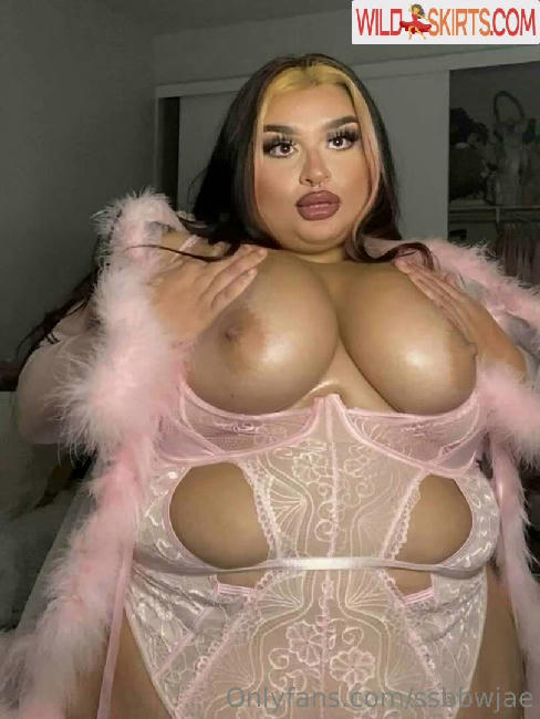 ssbbwjae / jessteacakes / ssbbwjae nude OnlyFans, Instagram leaked photo #26