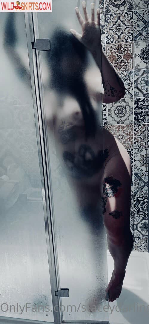 Staceydarling15 / staceydarling15 nude OnlyFans, Instagram leaked photo #24
