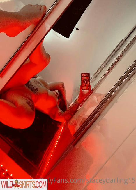 Staceydarling15 / staceydarling15 nude OnlyFans, Instagram leaked photo #10