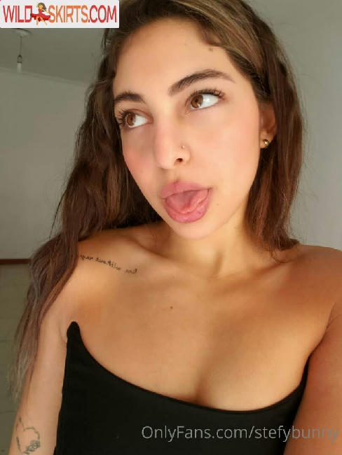 stefybunny / steffy.bunny / stefybunny nude OnlyFans, Instagram leaked photo #12