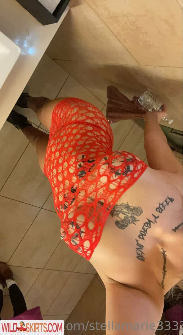 Stellamarie3333 nude leaked photo #25