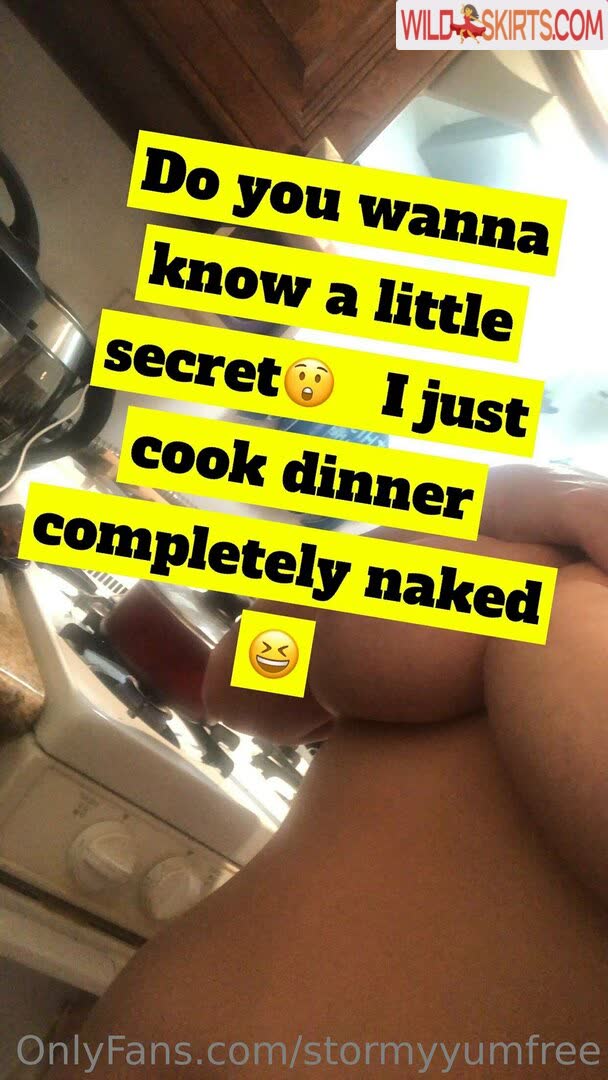 Stormyyumfree nude leaked photo #4