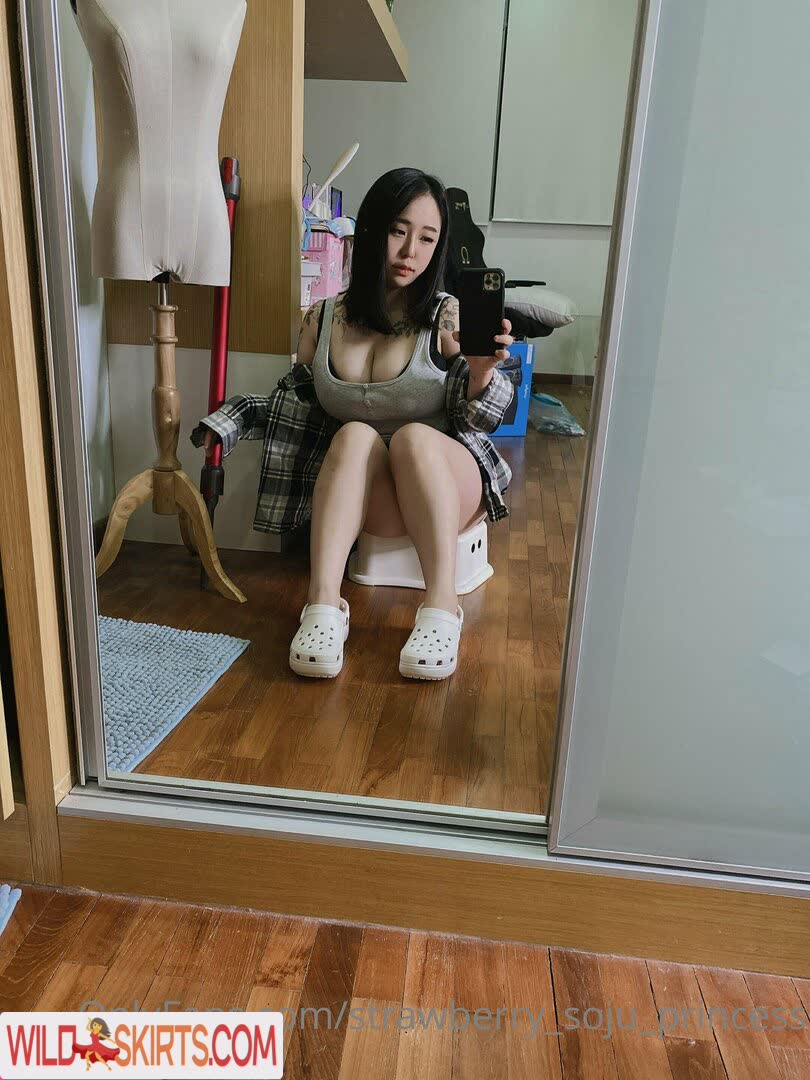 Strawberry_soju_princess nude leaked photo #24