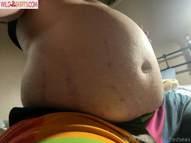 stuffedseas / stuffedseas / stuffedshreya nude OnlyFans, Instagram leaked photo #11