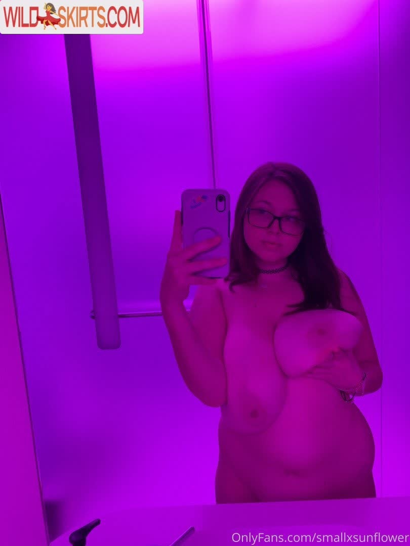 sunflower / princesssunflower / smallsunfIower / smallxsunflower nude OnlyFans leaked photo #63