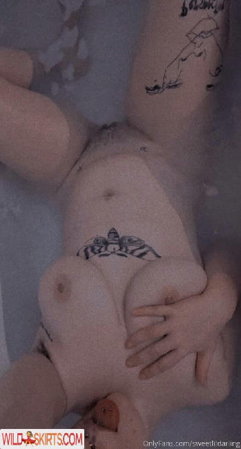 sweetlildarling nude OnlyFans, Instagram leaked photo #58