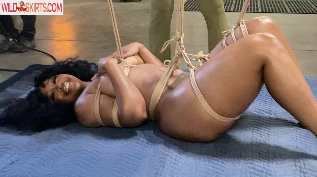 SZA / Solana Rowe / sza nude Instagram leaked photo #4