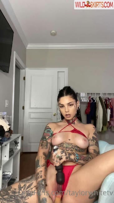 Taylor White / taylorwhitetv nude OnlyFans, Instagram leaked photo #393