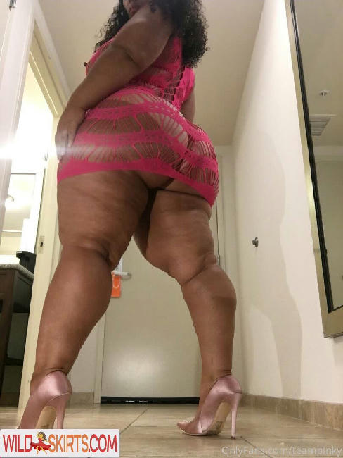 teampinky nude OnlyFans, Instagram leaked photo #21