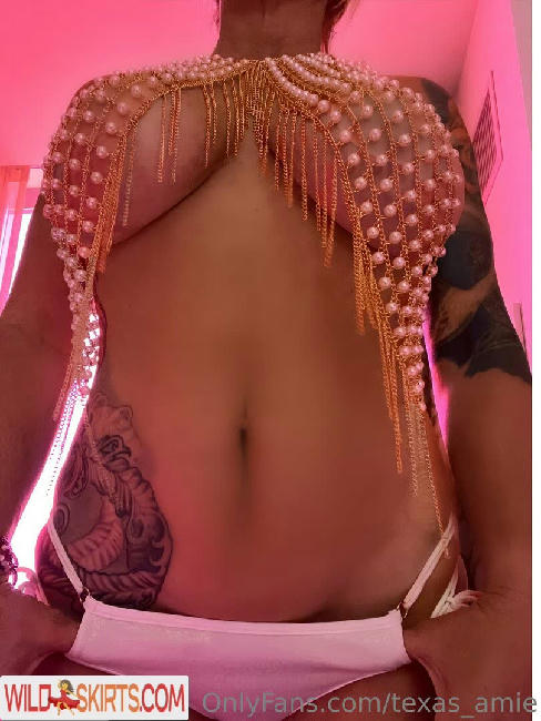 texas_amie / texas_amie / texas_vibes_ nude OnlyFans, Instagram leaked photo #148