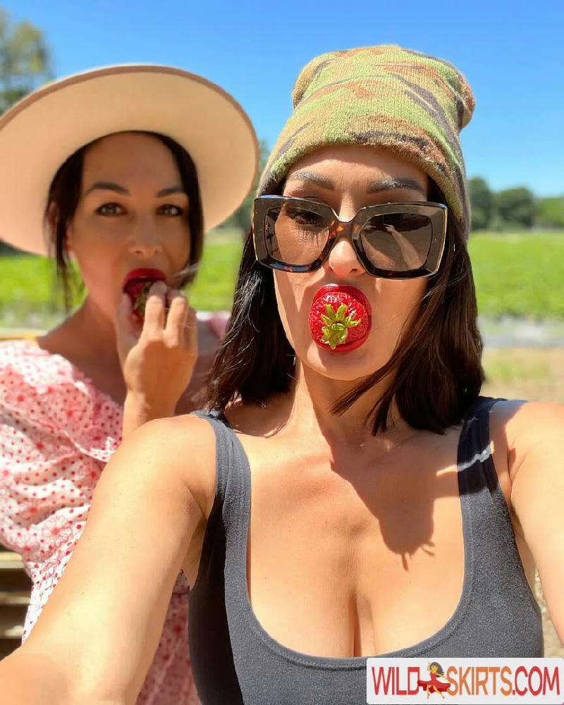 The Bella Twins: / Nikki Bella & Brie Bella / thenikkibella nude Instagram leaked photo #57
