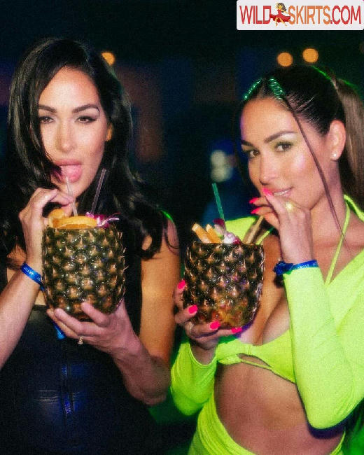 The Bella Twins: / Nikki Bella & Brie Bella / thenikkibella nude Instagram leaked photo #98