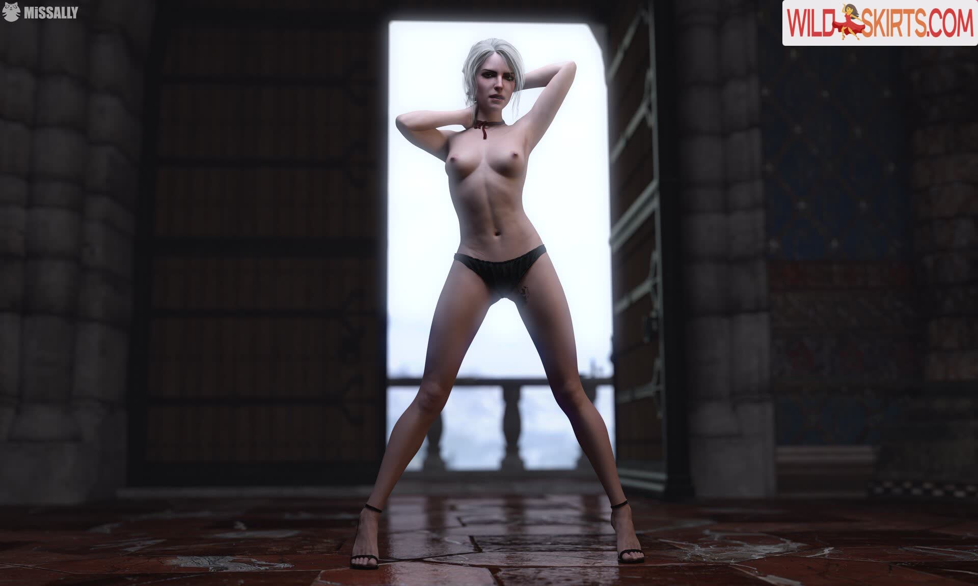 The Witcher nude leaked photo #147