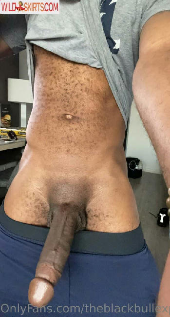 theblackbullexperience / BlackBullExp / theblackbullexperience / theblackexperiencediaries nude OnlyFans, Instagram leaked photo #3