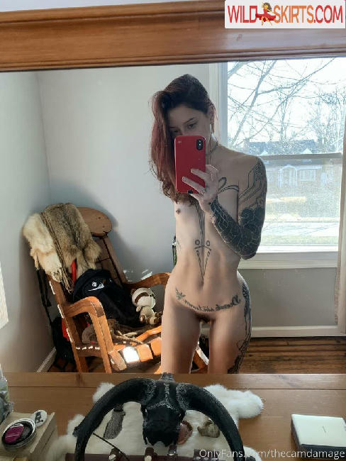 thecamdamage / notcamdamage / thecamdamage nude OnlyFans, Instagram leaked photo #177