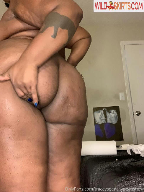 thefamouspeachesandcream / alnmakeup / thefamouspeachesandcream nude OnlyFans, Instagram leaked photo #12