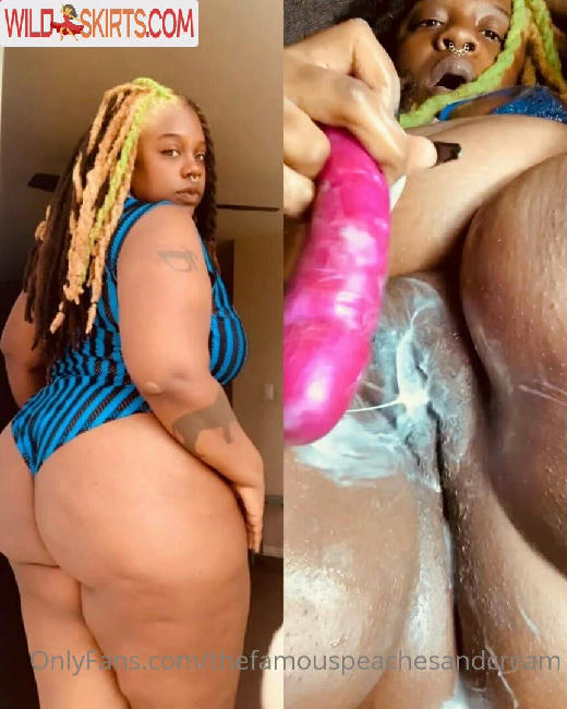 thefamouspeachesandcream / alnmakeup / thefamouspeachesandcream nude OnlyFans, Instagram leaked photo #34