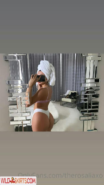 therosaliaxo / _rosaaaxo / therosaliaxo nude OnlyFans, Instagram leaked photo #130