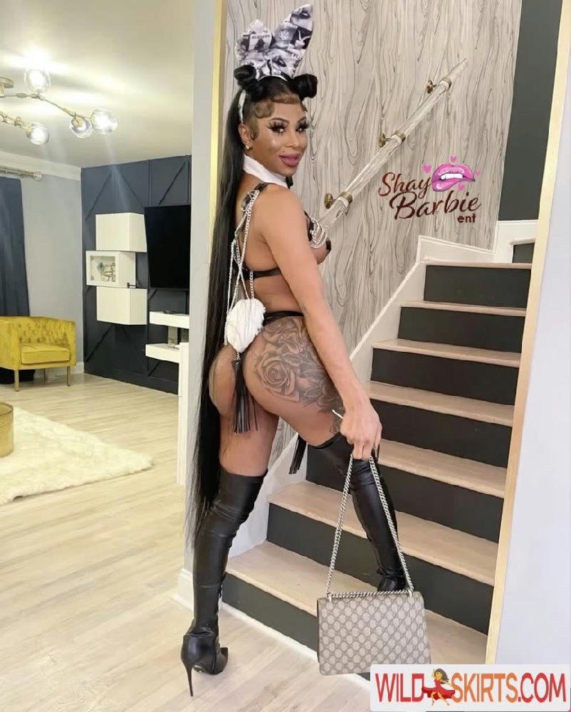 TheShayBarbie / shaybarbiex / theshaybarbie nude OnlyFans, Instagram leaked photo #2