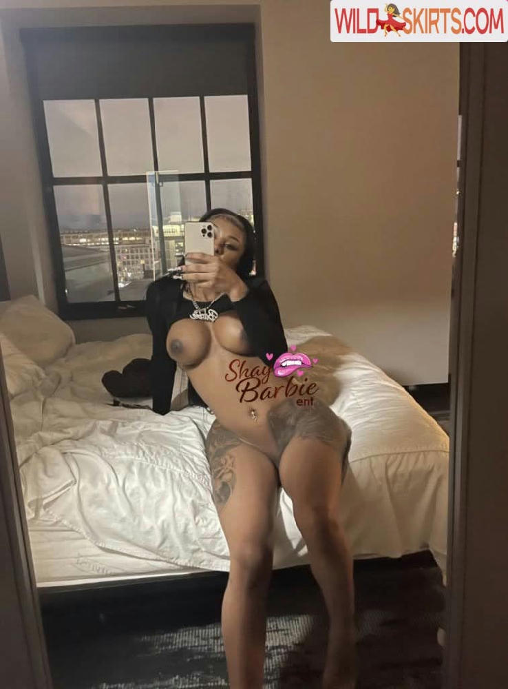 TheShayBarbie / shaybarbiex / theshaybarbie nude OnlyFans, Instagram leaked photo #10