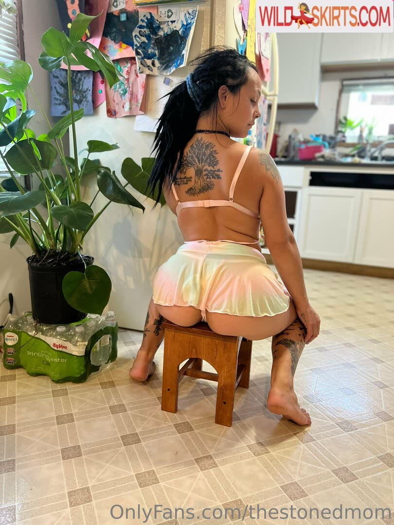 thestonedmom / thestonedmom / thestonedmother nude OnlyFans, Instagram leaked photo