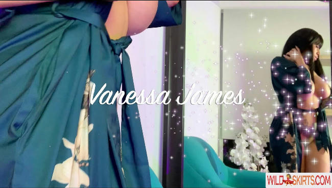 TheVanessajames / TheVanessaJames / vanessajames1 nude OnlyFans, Instagram leaked photo #74