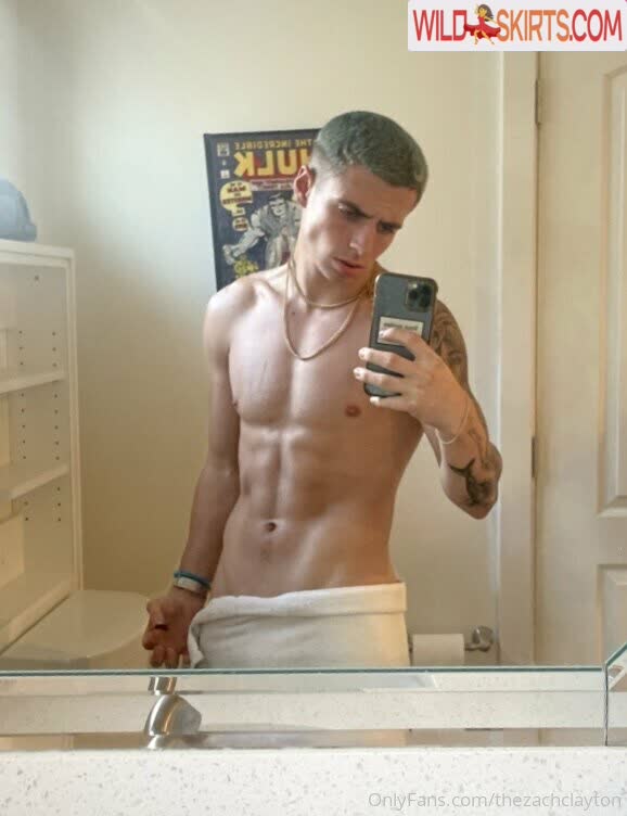 thezachclayton / thezachclayton / zachclayton nude OnlyFans, Instagram leaked photo #3